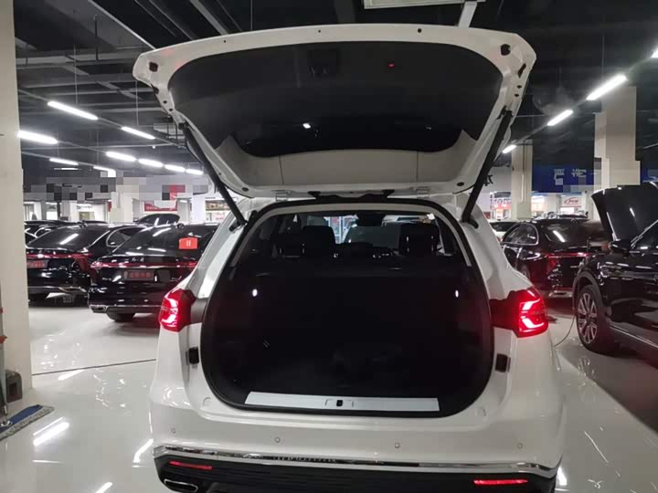 Фото 19 - Hongqi HS5