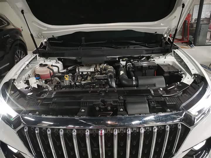 Фото 20 - Hongqi HS5