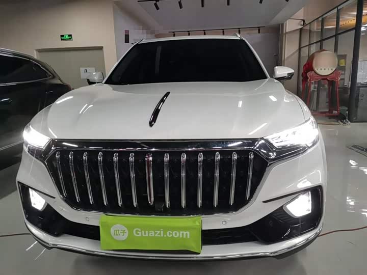 Фото 3 - Hongqi HS5