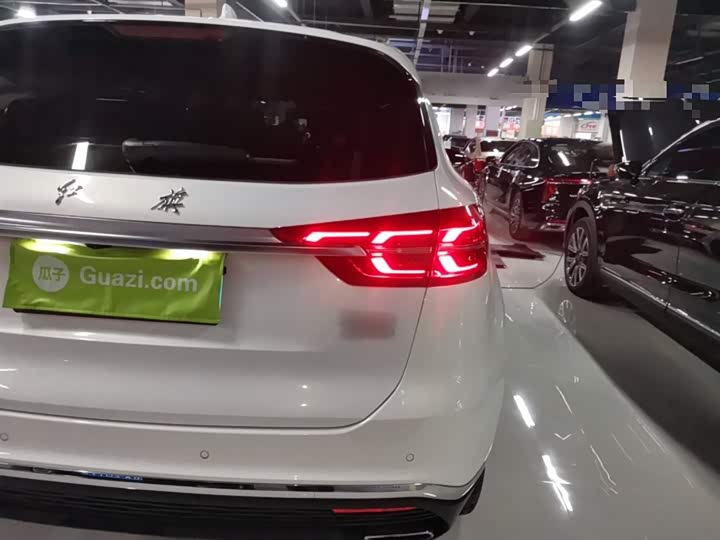 Фото 8 - Hongqi HS5