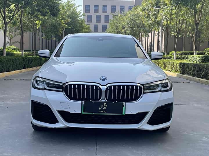Фото 2 - BMW 5 Series Hybrid