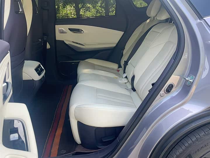 Фото 18 - GAC Aion LX