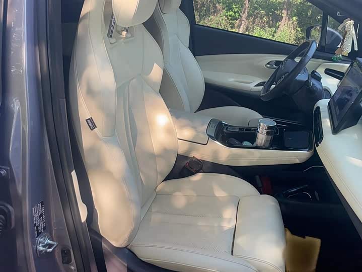 Фото 24 - GAC Aion LX