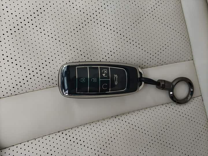 Фото 9 - GAC Aion LX