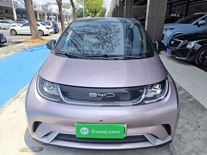 Фото 3 - BYD Dolphin