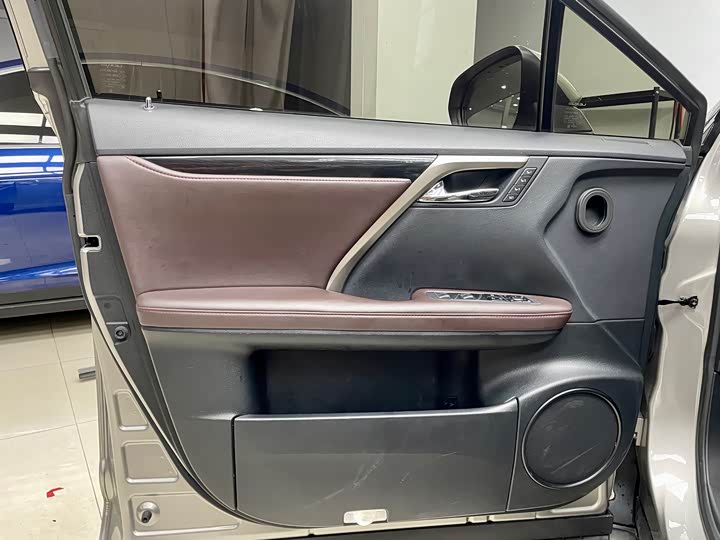 Фото 10 - Lexus RX