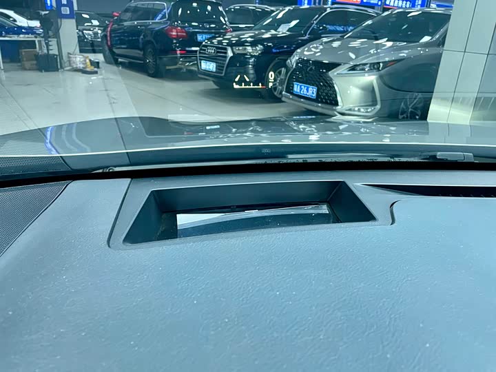 Фото 13 - Lexus RX