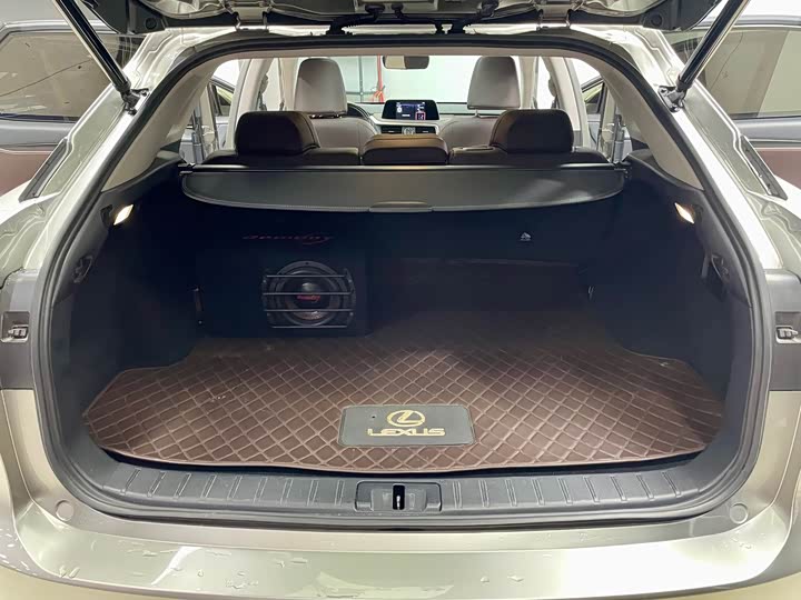 Фото 21 - Lexus RX