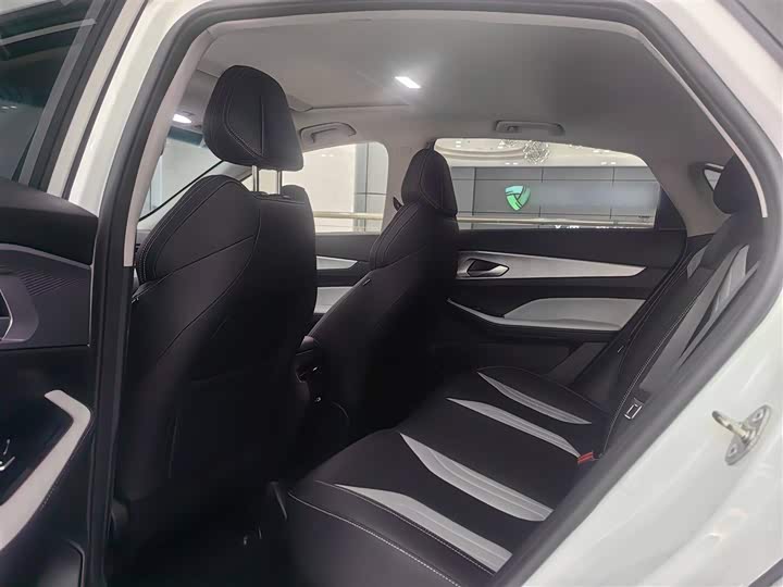 Фото 10 - Geely Binrui