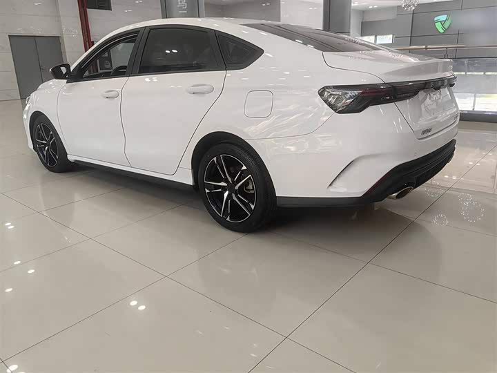 Фото 4 - Geely Binrui