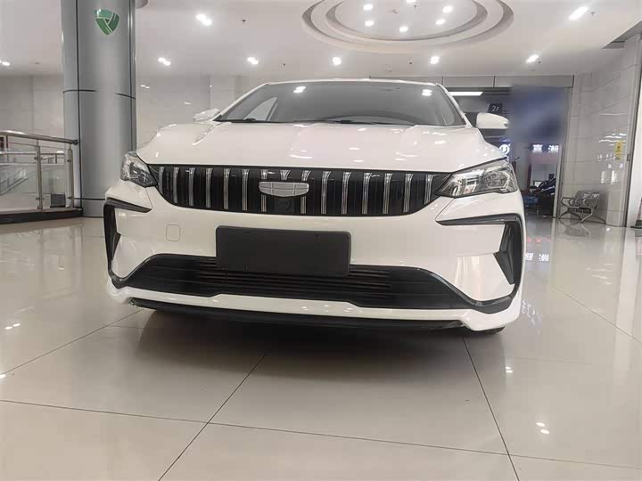 Фото 6 - Geely Binrui