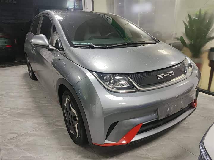 Фото 4 - BYD Dolphin