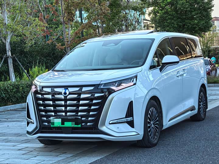 Фото 1 - Denza D9