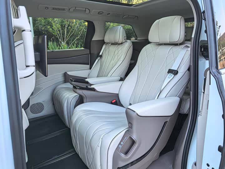 Фото 10 - Denza D9