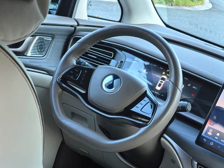 Фото 14 - Denza D9