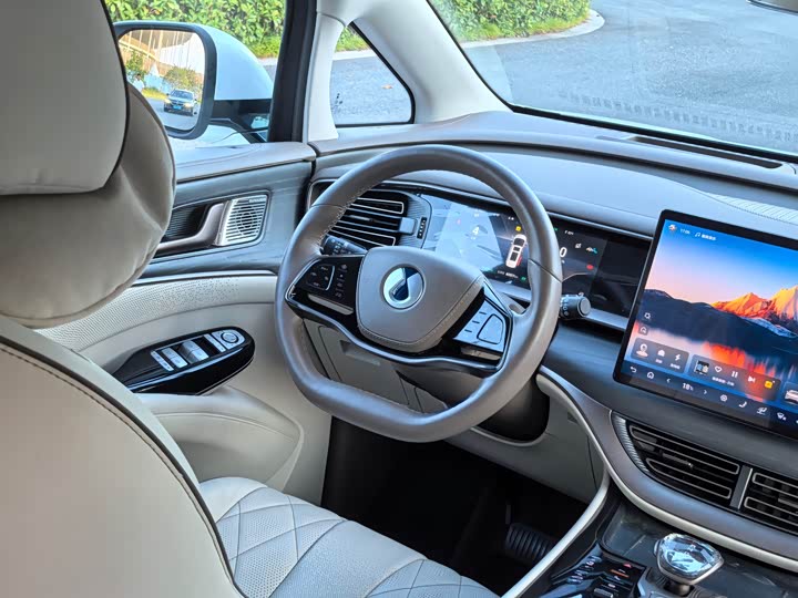 Фото 15 - Denza D9