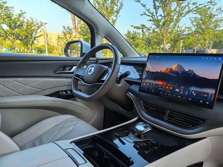 Фото 16 - Denza D9