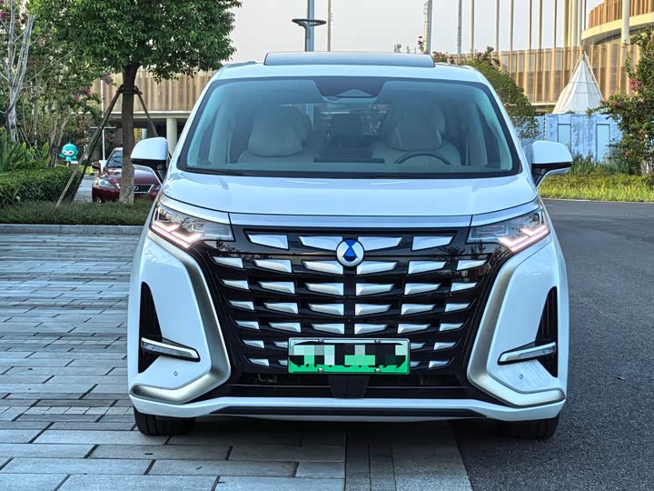 Фото 2 - Denza D9