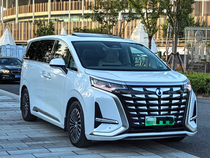 Фото 3 - Denza D9