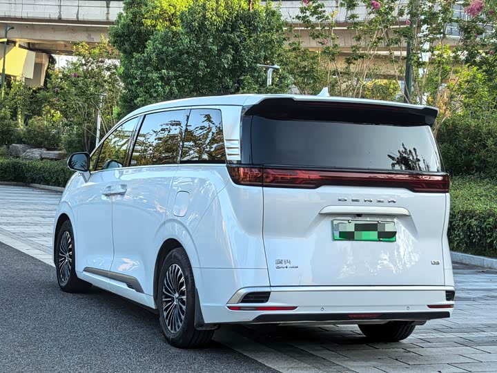 Фото 4 - Denza D9