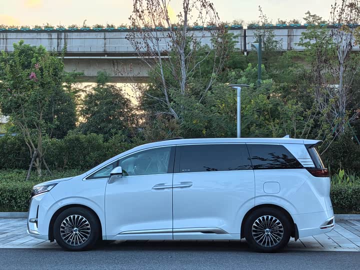 Фото 7 - Denza D9