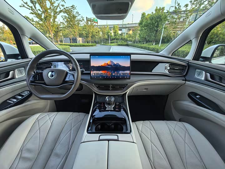 Фото 8 - Denza D9