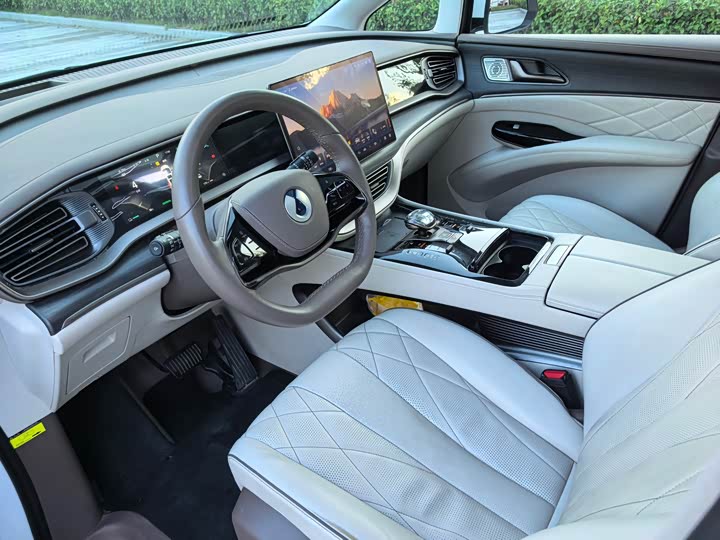 Фото 9 - Denza D9