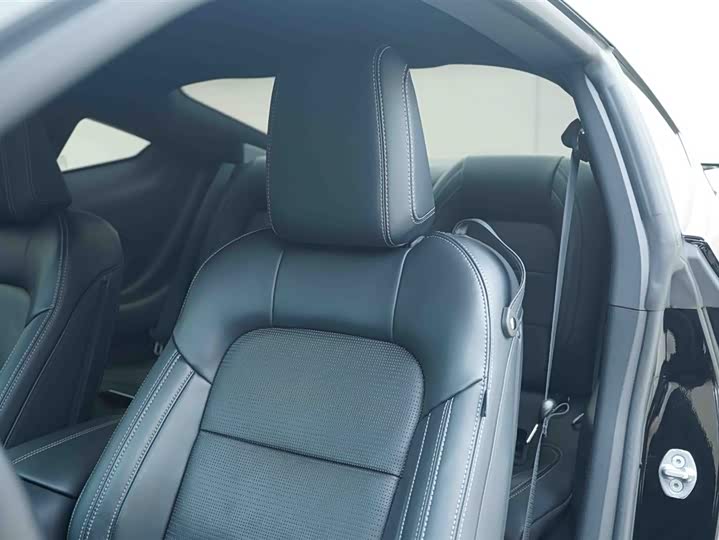 Фото 13 - Ford Mustang