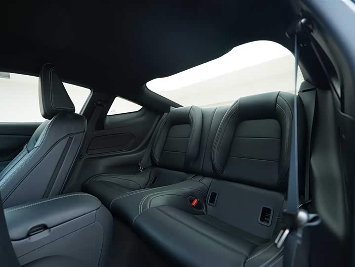 Фото 21 - Ford Mustang