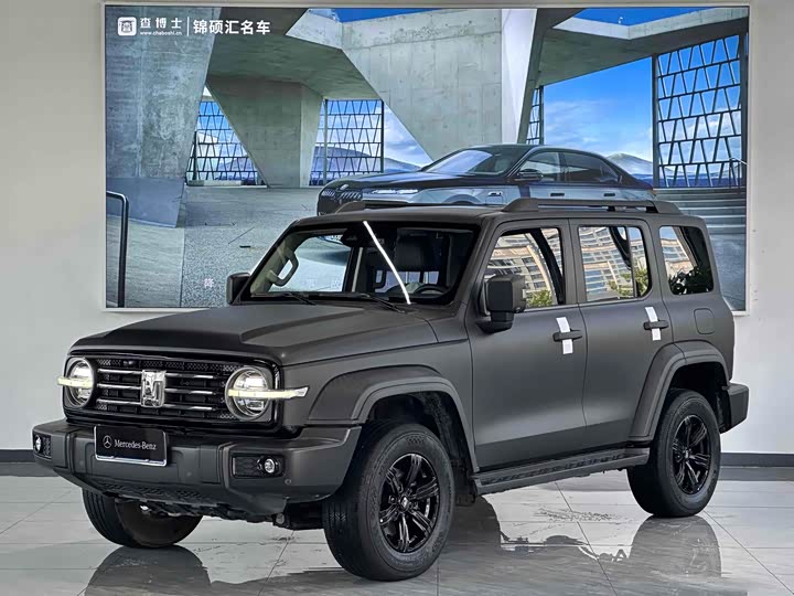 Фото 1 - Tank 300