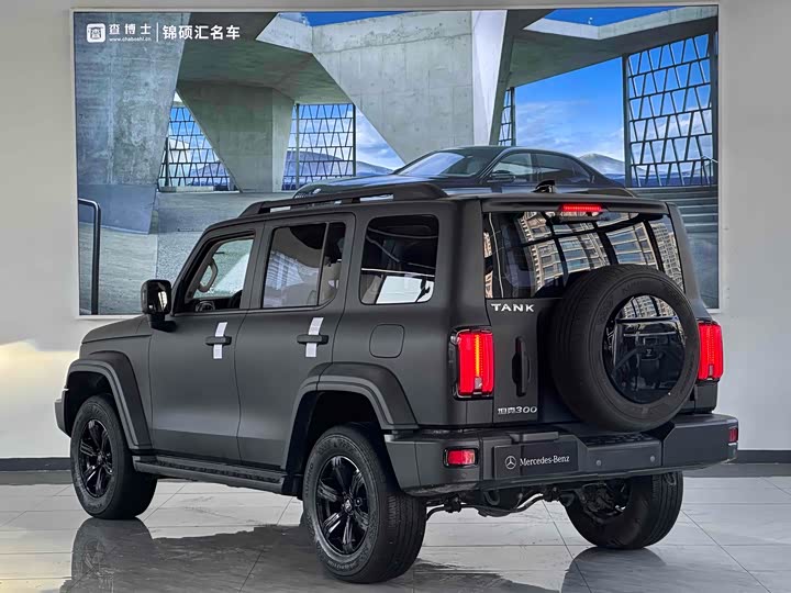 Фото 10 - Tank 300