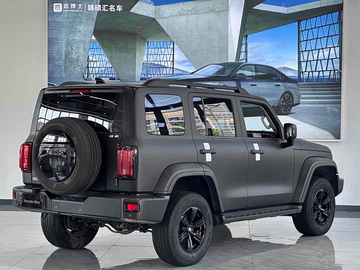 Фото 8 - Tank 300