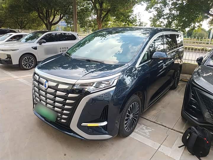 Фото 1 - Denza D9