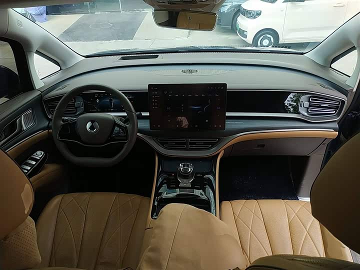 Фото 10 - Denza D9