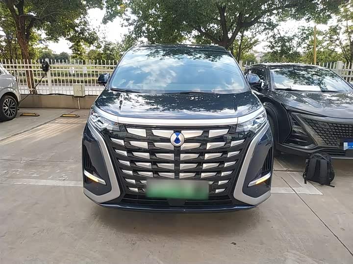 Фото 3 - Denza D9