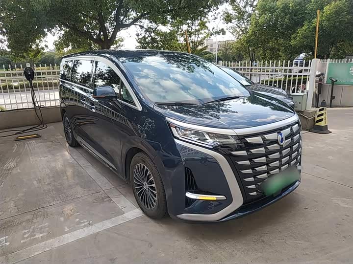 Фото 4 - Denza D9