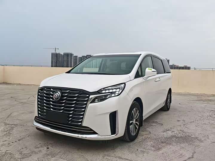 Фото 1 - Buick GL8 ES