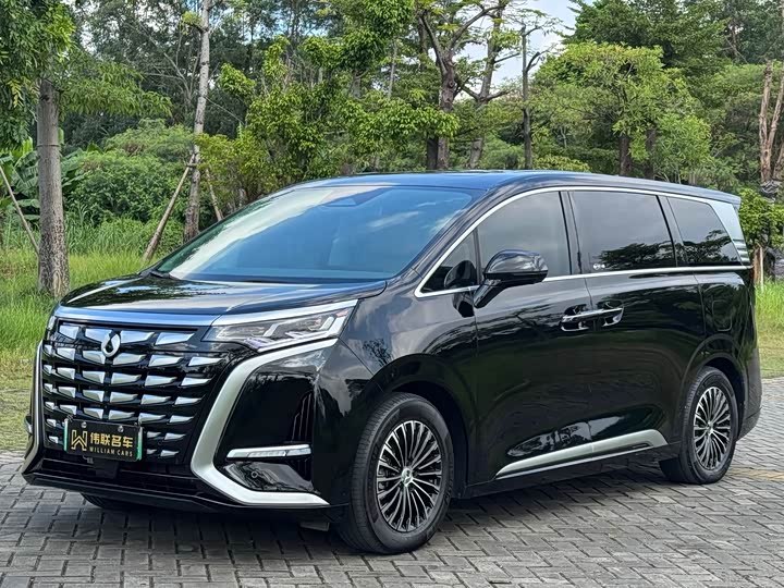 Фото 1 - Denza D9