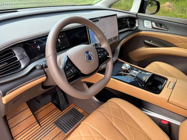 Фото 13 - Denza D9