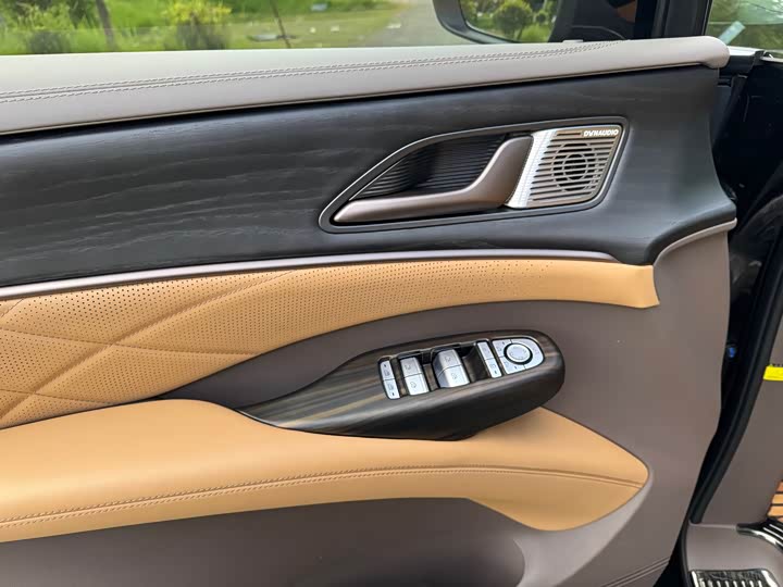 Фото 14 - Denza D9