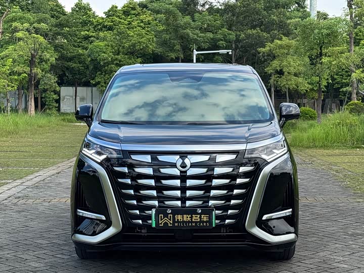 Фото 2 - Denza D9