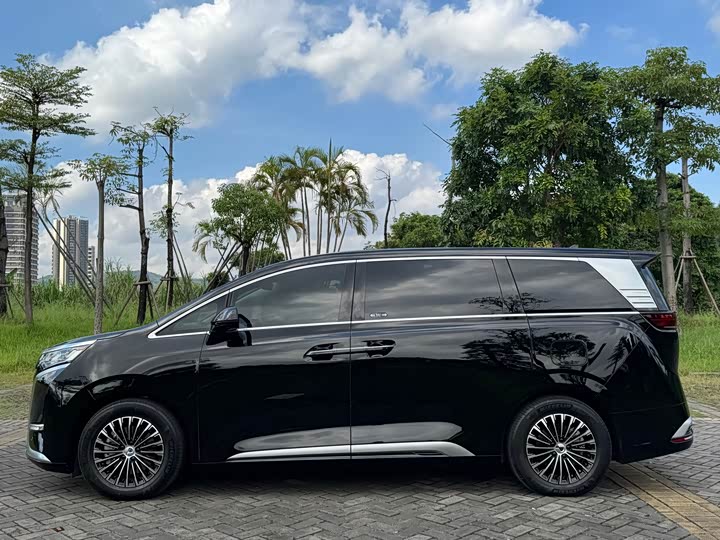 Фото 21 - Denza D9