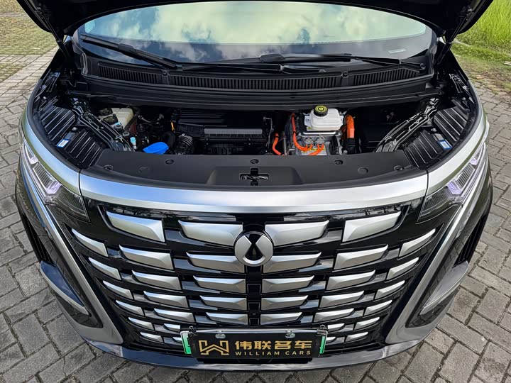 Фото 23 - Denza D9