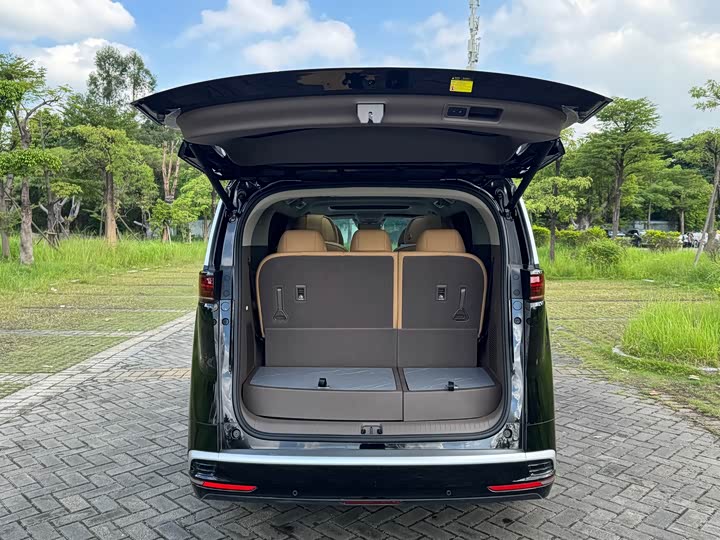 Фото 25 - Denza D9