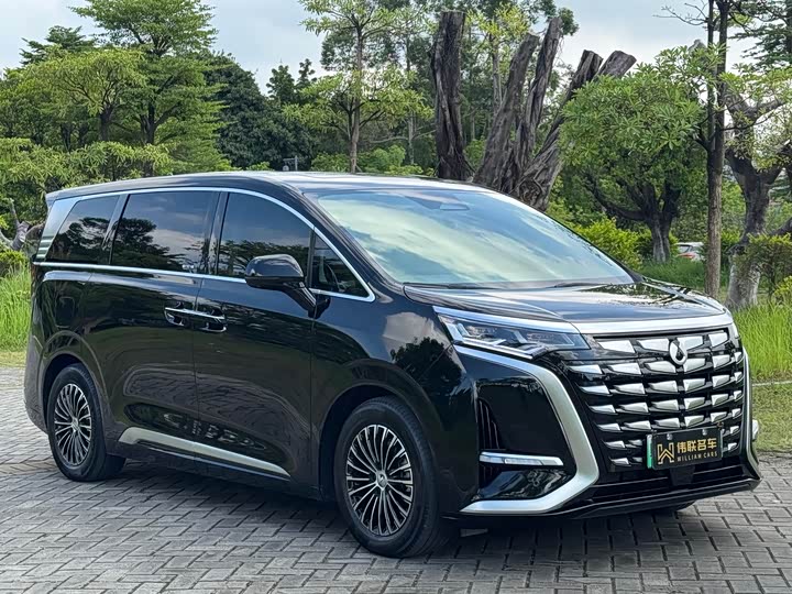 Фото 3 - Denza D9