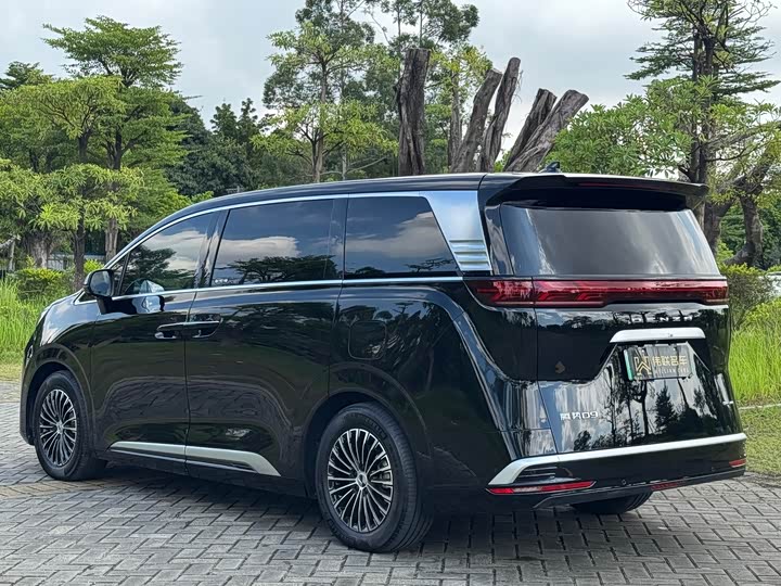 Фото 6 - Denza D9