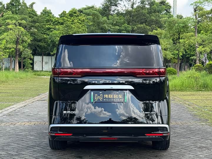 Фото 7 - Denza D9