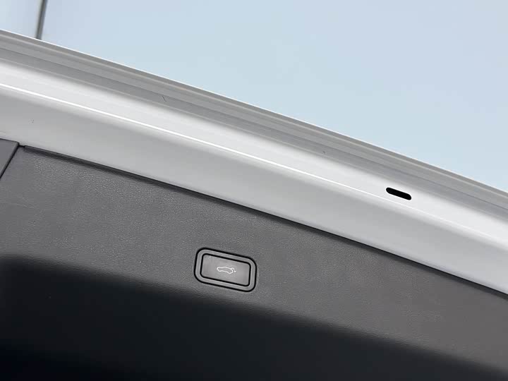 Фото 24 - Geely Monjaro