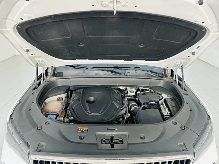 Фото 25 - Geely Monjaro