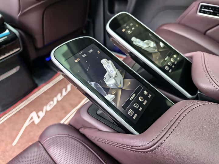 Фото 20 - Buick GL8 Century